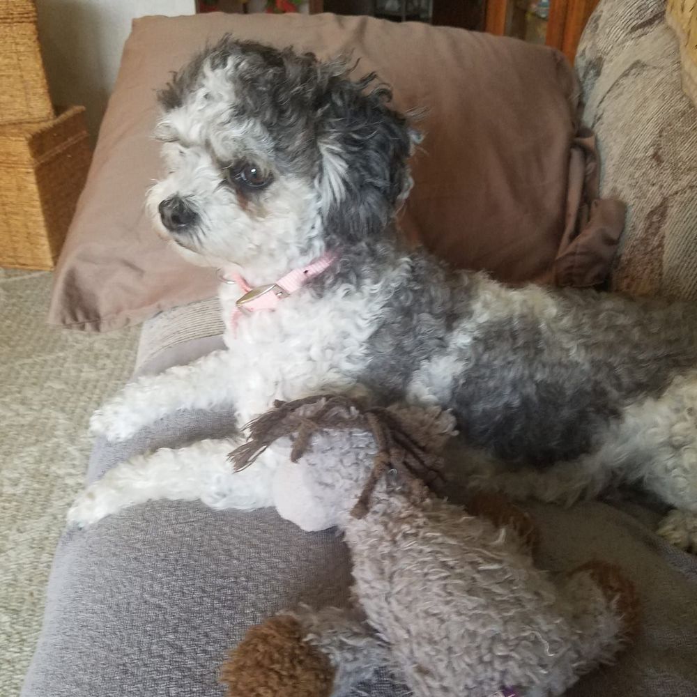 Meet your Posher, Brenda